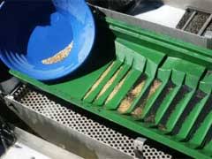 Top 10 Must-Have Gold Prospecting Tools for Success