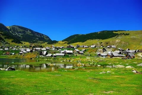 التجربة الغذائية الفاخرة في فنادق الخمس نجوم