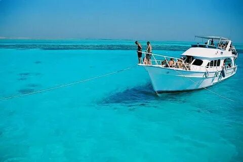 The Benefits of Booking a Private Tour Operator in Hurghada
