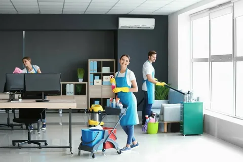 Maximizing Efficiency: The Importance of Solaranlagen Reinigung