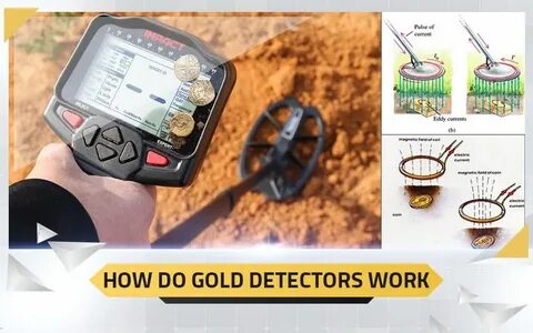Discovering Hidden Riches: Best Metal Detectors for Gold Hunting