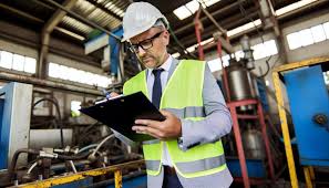 Evaluating the Environmental Impact of Industrial Projects in Egypt