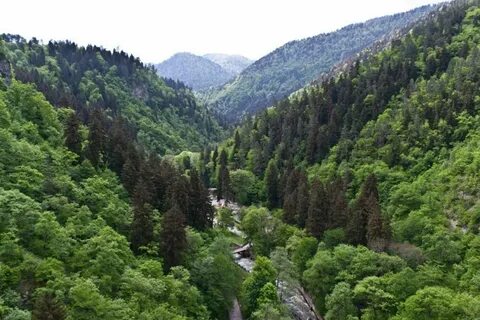 تجربة المغامرة والمرح في منتجع غينت الجبلي بغاباته ومناظره الطبيعية الخلابة.