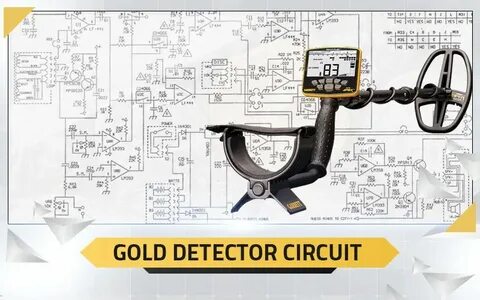 10 Must-Have Beach Metal Detectors for Your Next Treasure Hunt