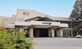 Medical Miracles: Stories of Saudi Patient Triumph