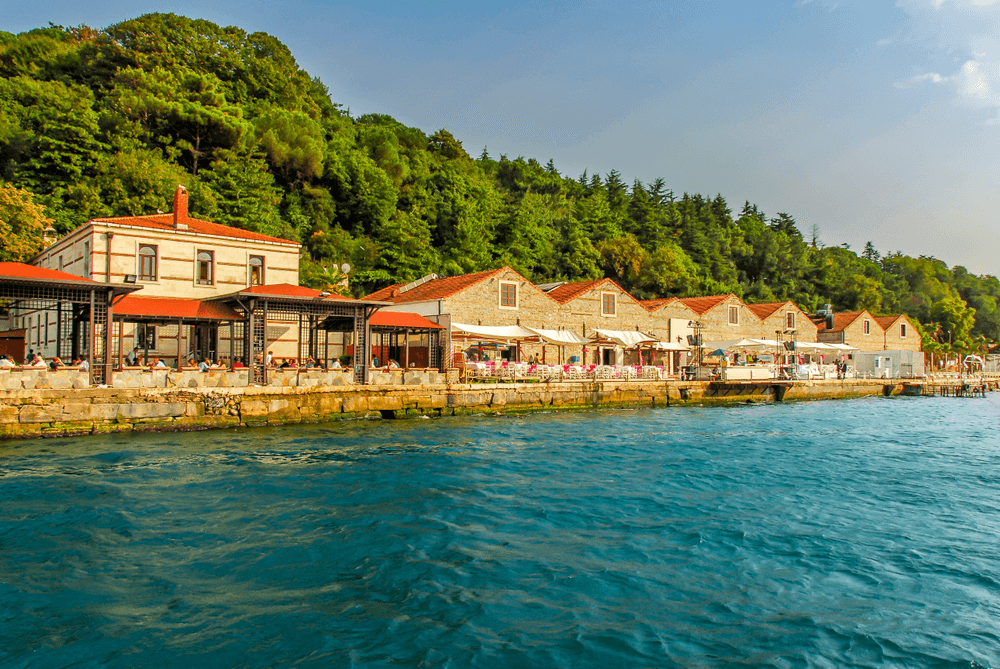 استكشاف تركيا مع شركات السياحة: تجربة سياحية لا تُنسى للعرب المسافرون
