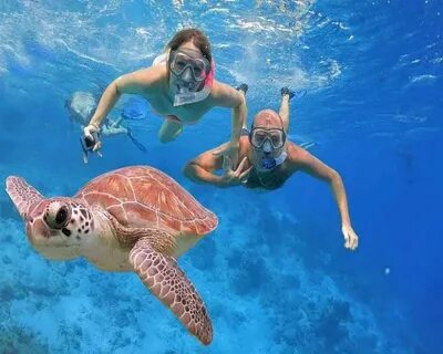 Cultural Tours in Hurghada: Discover the Rich History and Traditions
