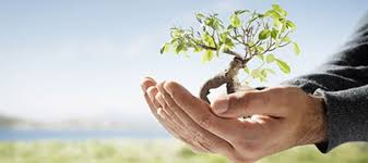 Challenges and Opportunities in Implementing Environmental Regulations in Egypt