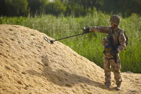 The Environmental Impact of Gold Fields Mining