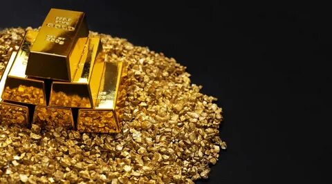 Uncovering Gold Nuggets: The Power of a Quality Metal Detector