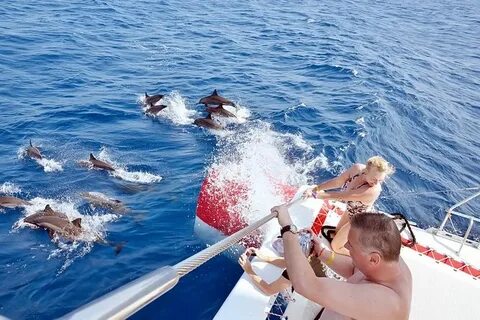 Diving into the Red Sea: Top Hurghada Scuba Diving Trips