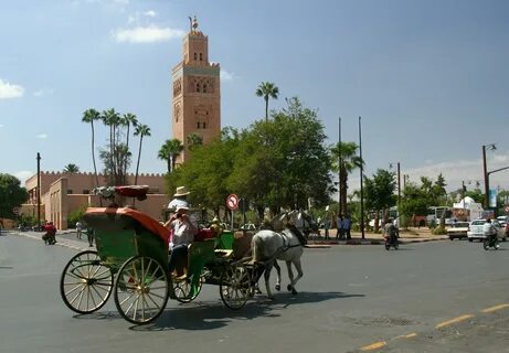 أفضل خدمات مكتب سياحة في جورجيا لرحلة لا تُنسى