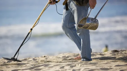 The Role of Mining Detectors in Safety and Regulation