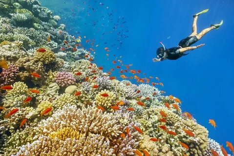 Making the Most of Your Trip to Hurghada: A Tourism Agency