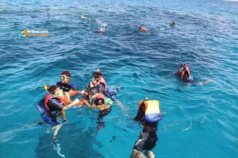 Snorkeling Tours in Hurghada: Explore the Underwater Wonders