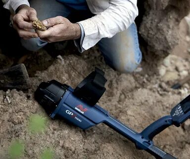Getting Started: The Best Metal Detectors for Beginners