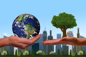 The Growing Importance of Environmental Consulting in Egypt
