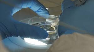 The Top-rated Healthcare Facilities in KSA for Medical Tourists