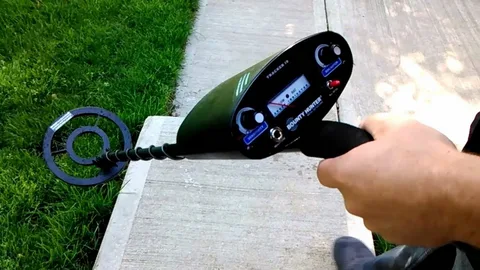 The History of Metal Detectors: From War to Hobby
