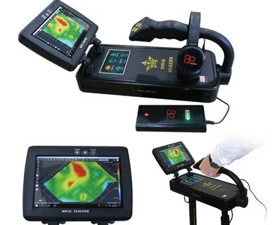 Top-Rated Beach Metal Detectors for Detecting Gold and Coins