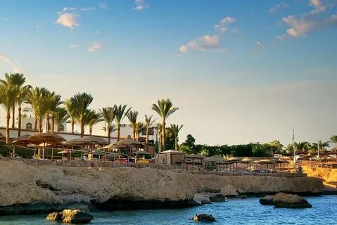 Witnessing Natural Beauty: Hurghada One Day Trips to Mahmya Island