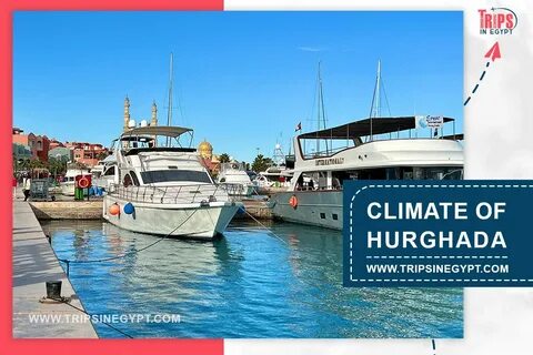 Unwind with Relaxing Day Tours from Hurghada