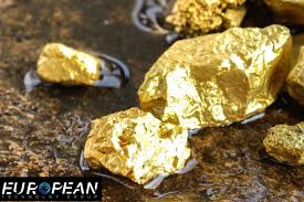 Exploring the Advantages of Long Range Gold Detectors for Prospectors