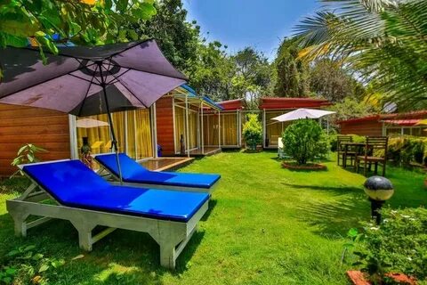 Discover the Beauty of Georgia: Cozy Cottage Rentals