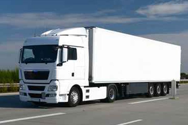 أهمية اختيار قط اغراض ذات جودة عالية لصحة القطة