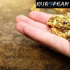 Top 5 Gold and Metal Detectors for Finding Treasure