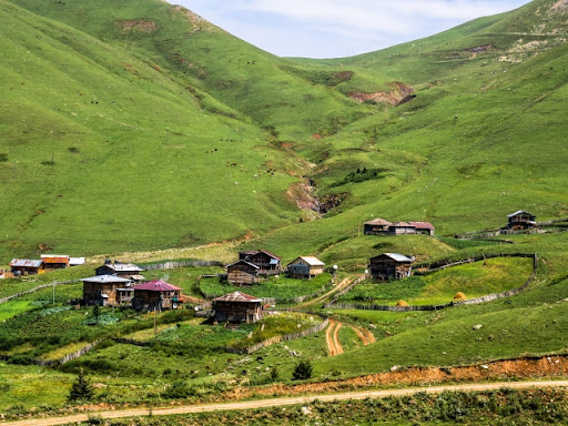 استكشف جمال طبيعة تسافلي في جورجيا