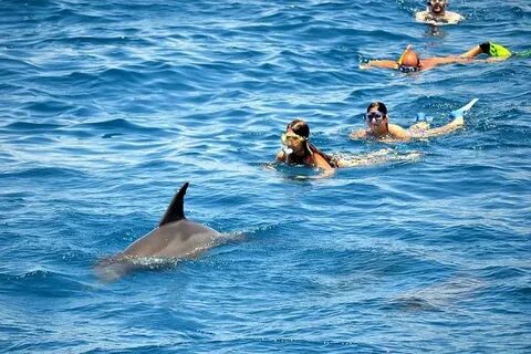 Discovering the Beauty of Orange Bay Hurghada on the Red Sea