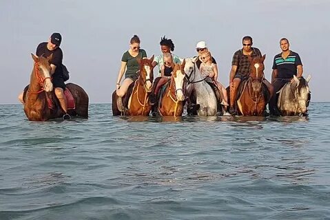 Exclusive Getaway: Private Yacht Trip in Hurghada