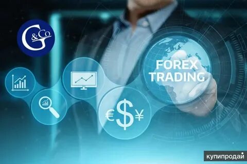 استراتيجيات فعالة لزيادة الوعي بالعلامة التجارية عبر الترويج الالكتروني