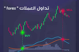 تقييم شركات التداول العربية: أهم العوامل التي يجب مراعاتها