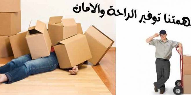 أفضل شركات نقل العفش بأرقام عربيات موثوقة ومرخصة