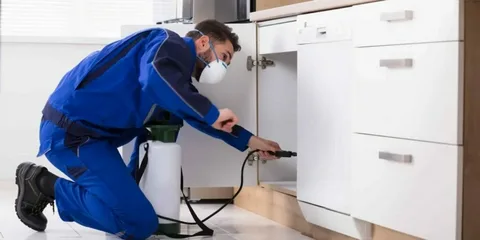 5 Essential Tips for Maintaining Your Solar Panels