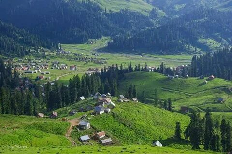 استمتع بإطلالات خلابة وخدمة مميزة في منتجع لوبوتا في جورجيا