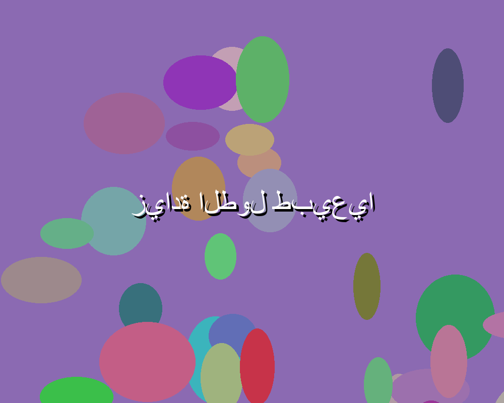 كيف يمكن ليلا شوت الجديد أن يساعد في تتبع الدوريات العربية والعالمية؟