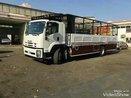 أهمية قط الأغراض في حياتنا اليومية