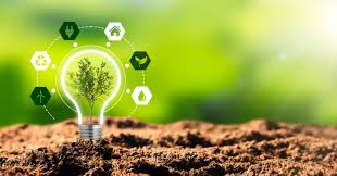 Sustainable Development and Environmental Consulting Services in Egypt