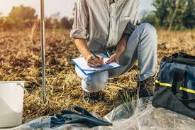 Effective Strategies for Controlling Construction Pollution in Egypt