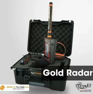 Finding Hidden Gold: The Best Metal Detectors on the Market