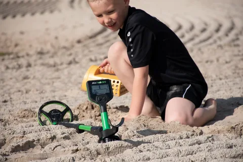 The Ultimate Guide to Successful Gold Searching