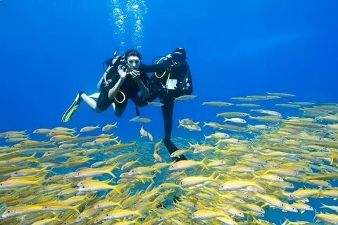 Experience Adventure and Scenic Views on Orange Bay Full Day Trip