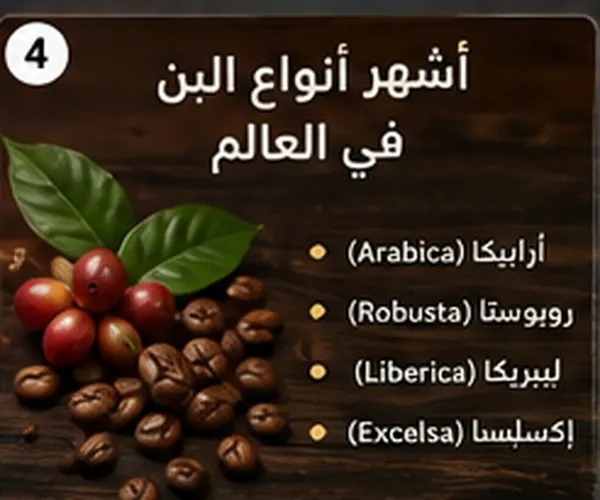 قهوة روبوستا: قوة ونكهة فريدة