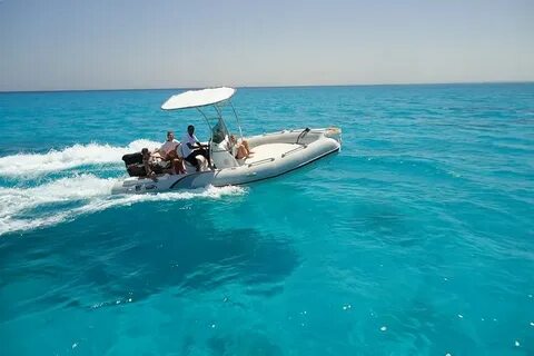 Exploring Marine Life: Hurghada Family Snorkeling Trip