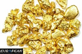 Choosing the Right Gold Scanner Detector for Your Needs