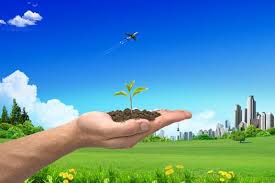 Improving Air Quality: Factory Emissions Monitoring in Egypt