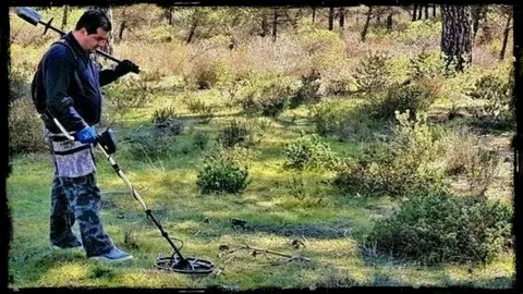 The Best Metal Detector Gold Detector for Beginners